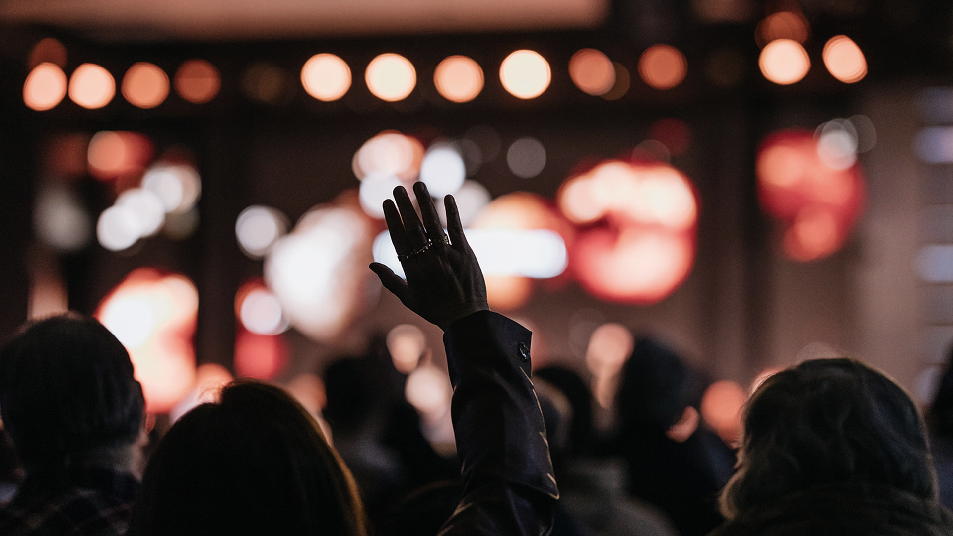 The Purpose Of The Stars